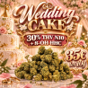 Fleur THV N10 + 8-OH-HHC Wedding Cake - Fleur THV N10 - THV puissant - Boutique THV N10 - Livraison THV N10 - Small Buds THV N10