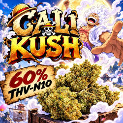 ‼️ EXTREME | Fleur 60% THV N10 Cali Kush