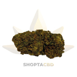 Fleur CBD Do Si Dos | 2 gr