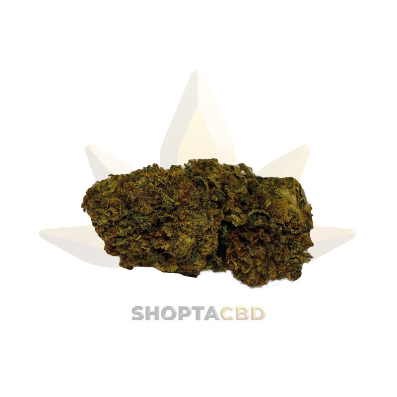 Fleur CBD Do Si Dos vendue par CBD Shop Shoptacbd Fleur CBD Do Si Dos vendue par CBD Shop Shoptacbd
