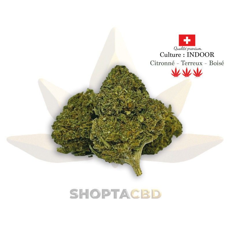 Fleur CBD Amnesia Haze vendue par CBD Shop Shoptacbd Fleur CBD Amnesia Haze vendue par CBD Shop Shoptacbd