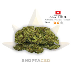 Fleur CBD Amnesia Lemon