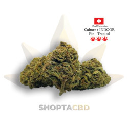 Fleur CBD Calliope Kush