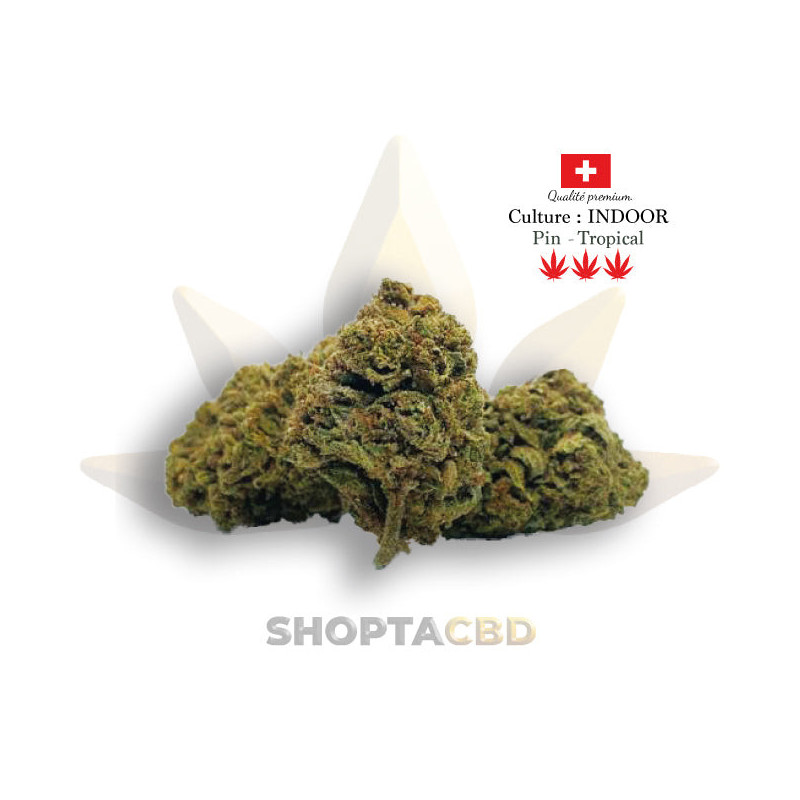 Fleur CBD Calliope Kush