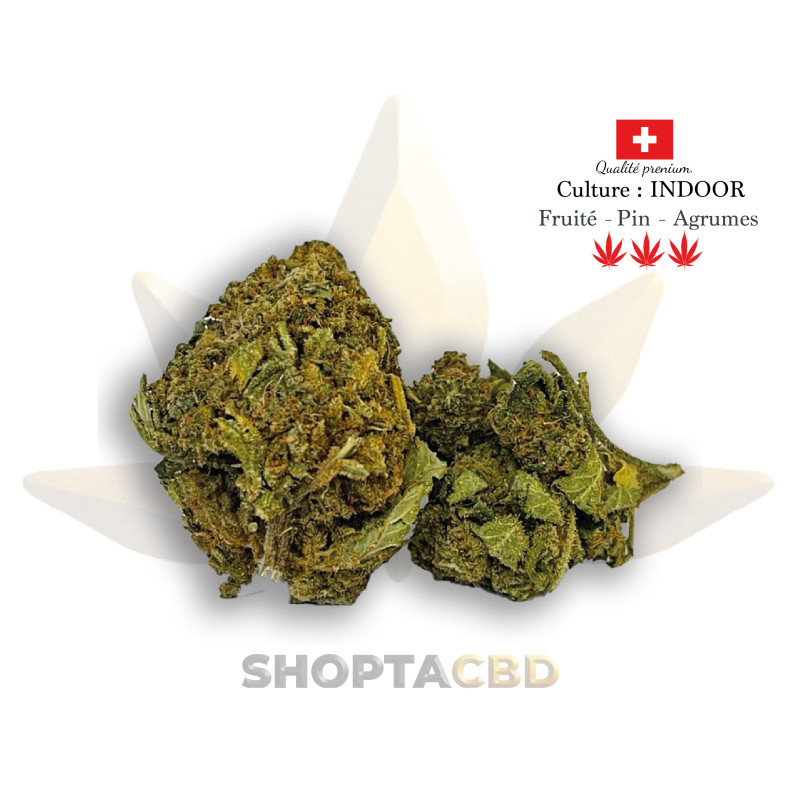 Fleur CBD Cannatonic vendue par CBD Shop Shoptacbd