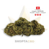 Fleur CBD Fedtonic