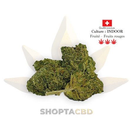 Fleur CBD Gorilla Glue vendue par CBD Shop Shoptacbd