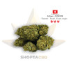 Fleur CBD Harlequin
