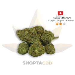 Fleur CBD Mango Kush