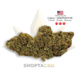 Fleur CBD Moby Dick