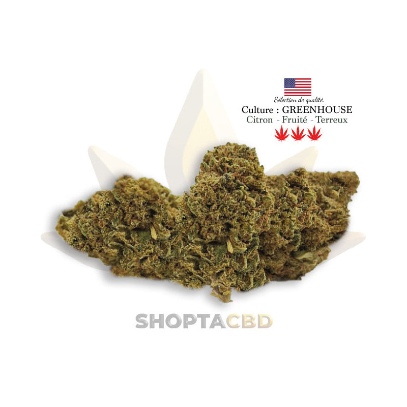 Fleur CBD Moby Dick