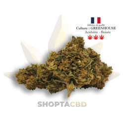Fleur CBD Remedy vendue par CBD Shop Shoptacbd