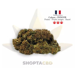 Fleur CBD Small Buds Strawberry vendue par CBD Shop Shoptacbd