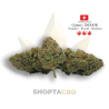 Fleur CBD Sorbet