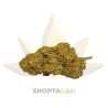 Fleur CBD Strawberry Haze vendue par CBD Shop Shoptacbd