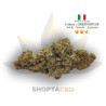 Fleur CBD Super Lemon Haze vendue par CBD Shop Shoptacbd