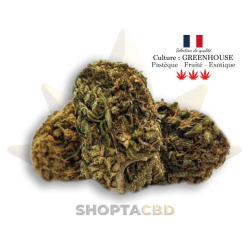 Fleur CBD Watermelon