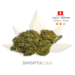 Fleur CBD White Widow
