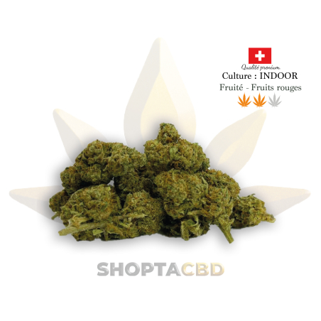 Fleur CBD Wild Berry vendue par CBD Shop Shoptacbd