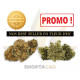 Pack Fleur HHC Best Seller