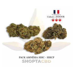 Pack HHC & HHCp Amnesia