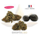Pack HHC-P Puissance | 12gr
