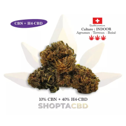 Fleur H4CBD CBN Gelato vendue par CBD Shop Shoptacbd