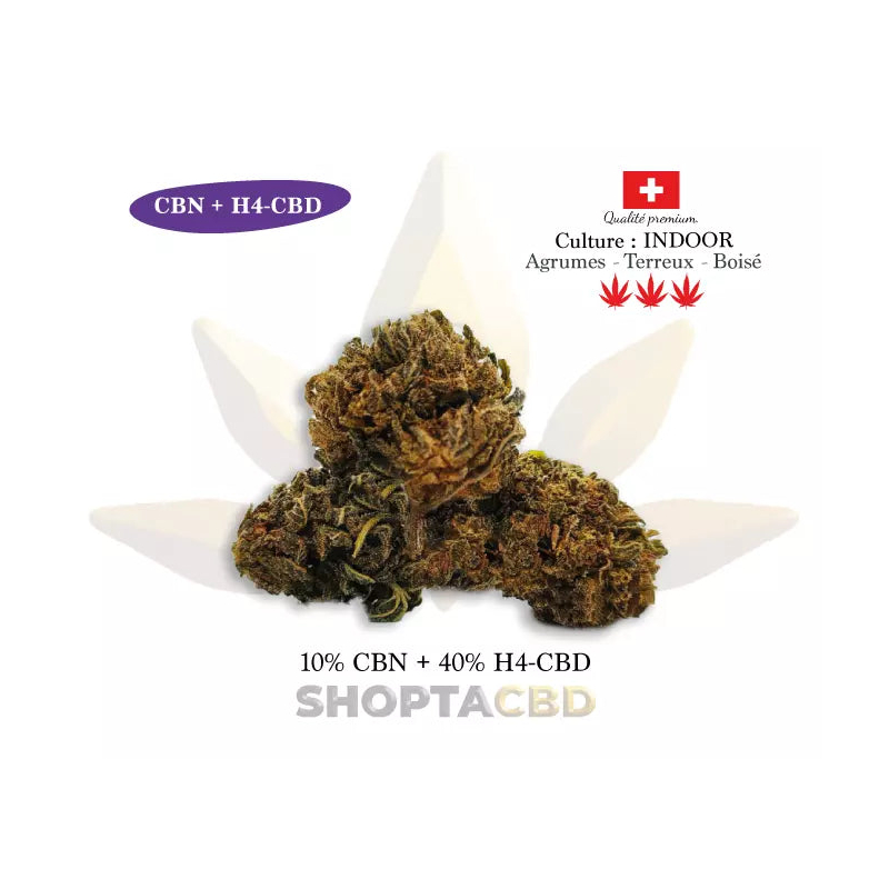 Fleur H4CBD CBN Gelato vendue par CBD Shop Shoptacbd Fleur H4CBD CBN Gelato vendue par CBD Shop Shoptacbd