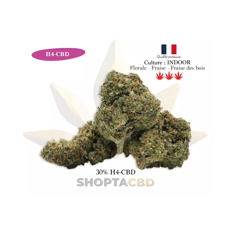 Fleur H4CBD Strawberry vendue par CBD Shop Shoptacbd Fleur H4CBD Strawberry vendue par CBD Shop Shoptacbd