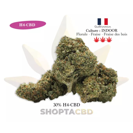 Fleur H4CBD Strawberry vendue par CBD Shop Shoptacbd