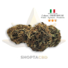 Fleur CBD Orange Bud - CBD Shop Shoptacbd