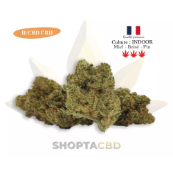 Fleur H-CBD CRD Amnesia NLX vendue par CBD Shop Shoptacbd