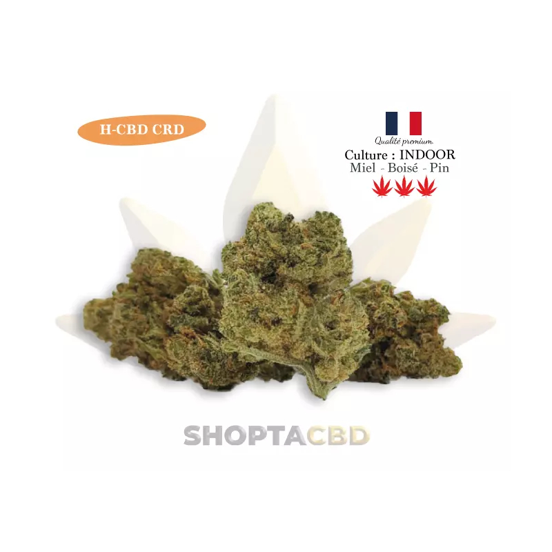 Fleur H-CBD CRD Amnesia NLX vendue par CBD Shop Shoptacbd Fleur H-CBD CRD Amnesia NLX vendue par CBD Shop Shoptacbd