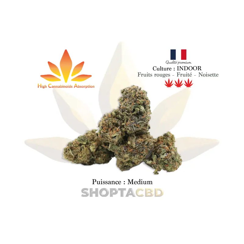 Fleur HCA Harlequin vendue par CBD Shop Shoptacbd Fleur HCA Harlequin vendue par CBD Shop Shoptacbd