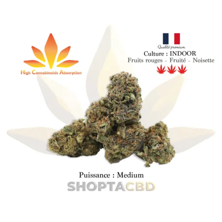 Fleur HCA Harlequin vendue par CBD Shop Shoptacbd