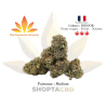 Fleur HCA Harlequin vendue par CBD Shop Shoptacbd