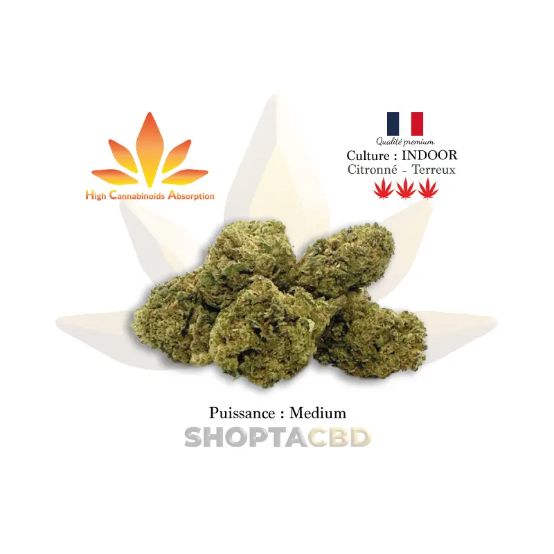 Fleur HCA CXP G10 vendue par CBD Shop Shoptacbd Fleur HCA CXP G10 vendue par CBD Shop Shoptacbd