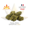 Fleur HCA CXP G10 vendue par CBD Shop Shoptacbd