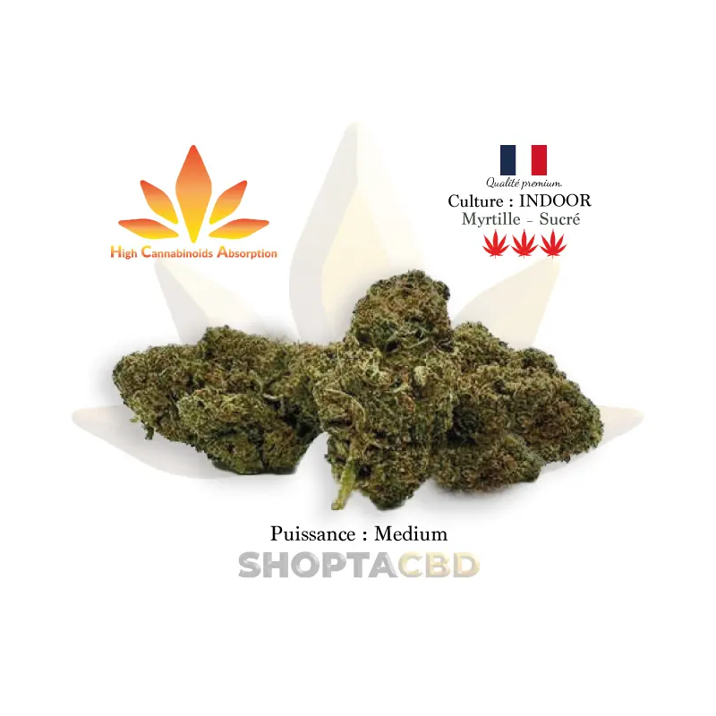 Fleur HCA Blueberry vendue par CBD Shop Shoptacbd Fleur HCA Blueberry vendue par CBD Shop Shoptacbd