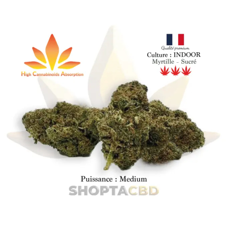 Fleur HCA Blueberry vendue par CBD Shop Shoptacbd