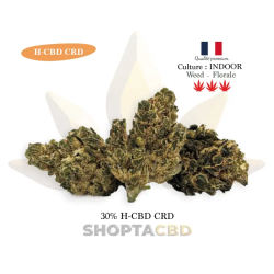 Fleur HCBD CRD Velvet vendue par CBD Shop Shoptacbd