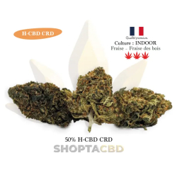 Fleur HCBD CRD Strawberry vendue par CBD Shop Shoptacbd