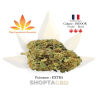 Fleur HCA Plutonium|EXTRA