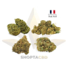 Pack de CBD Noël |24gr