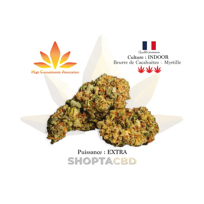 Fleur HCA Butter Berry EXTRA vendue par CBD Shop Shoptacbd Fleur HCA Butter Berry EXTRA vendue par CBD Shop Shoptacbd