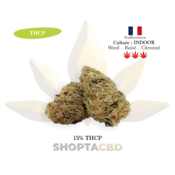 Fleur THCP V+ vendue par CBD Shop Shoptacbd