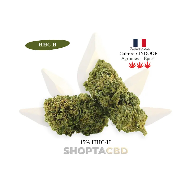 Fleur HHCH Jack Herer vendue par CBD Shop Shoptacbd