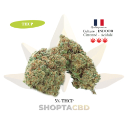 LIQUIDATION - Fleur 5% THCP Super Lemon