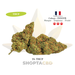 LIQUIDATION - Fleur 5% THCP Mango