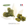 Pack High | 30% THXE